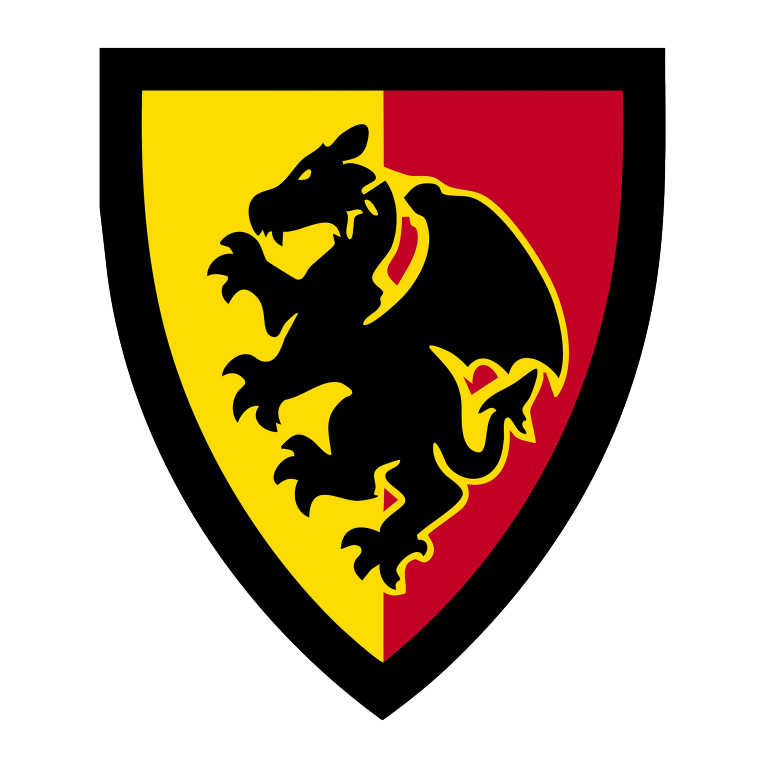 RagingDragonShield