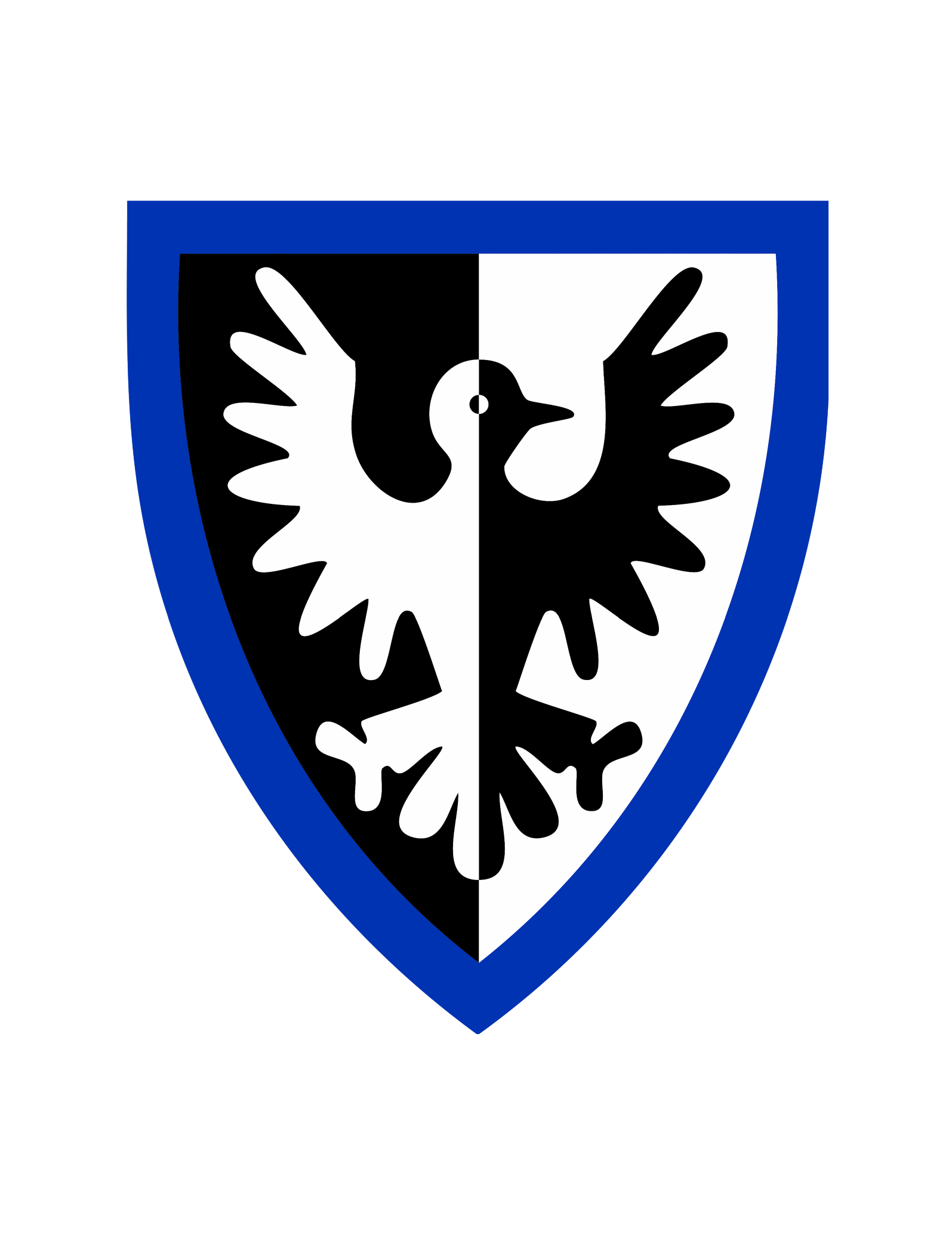 BlackFalconBlueShield