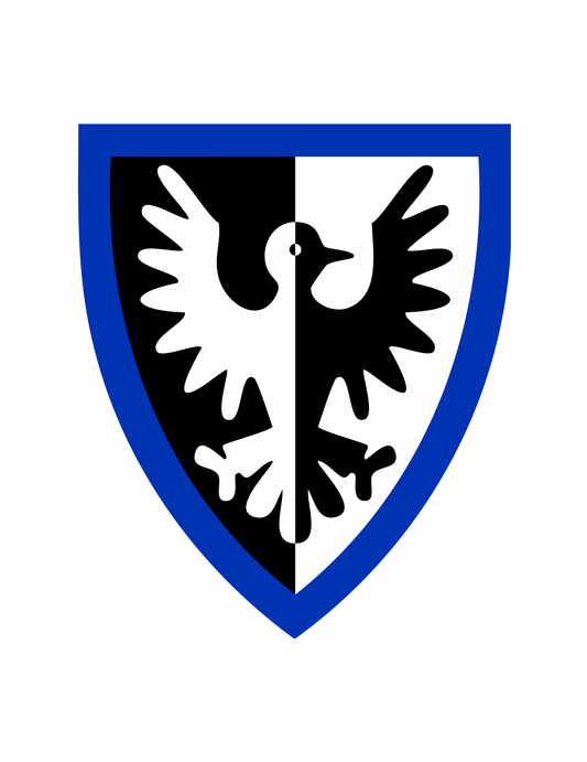 BlackFalconBlueShield