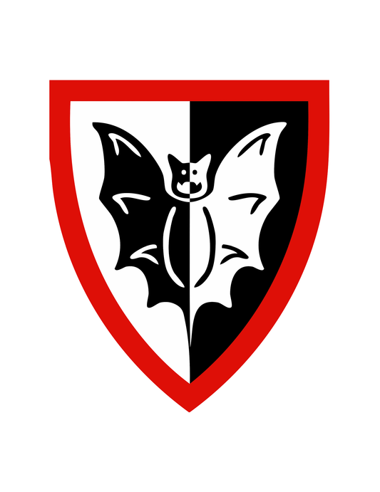 FrightKnightBlackBatShield